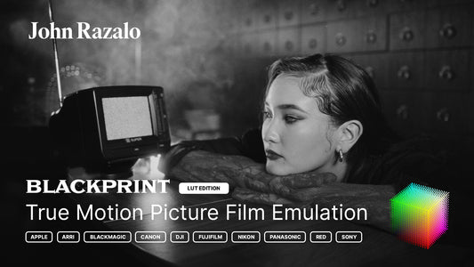 BlackPrint Film Emulation LUTs (COLOR SCIENCE 3.5)