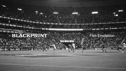 BlackPrint Film Emulation LUTs (COLOR SCIENCE 3.5)