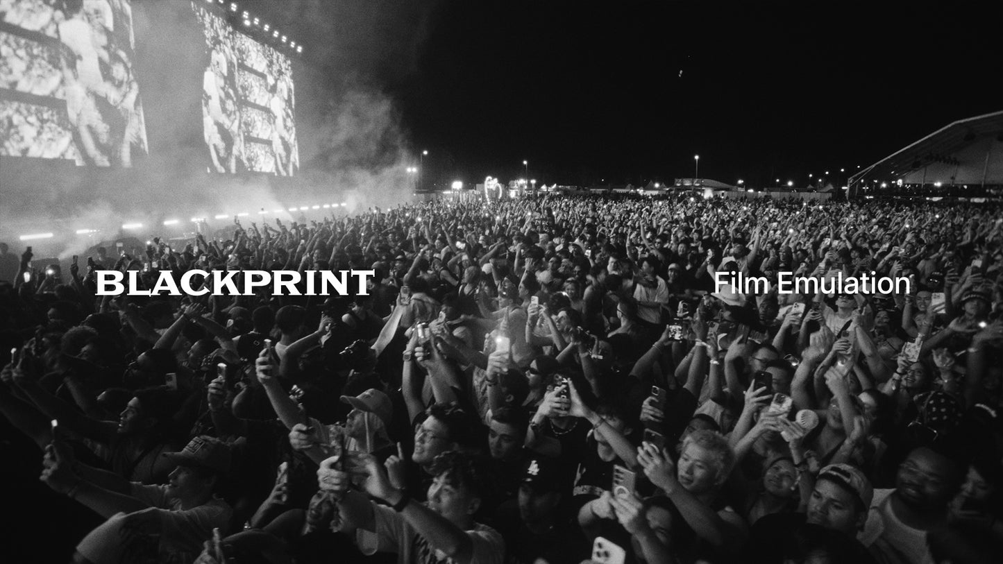 BlackPrint Film Emulation LUTs (COLOR SCIENCE 3.5)