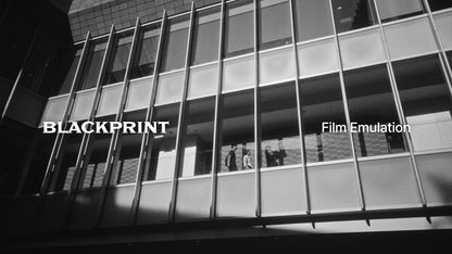 BlackPrint Film Emulation LUTs (COLOR SCIENCE 3.5)