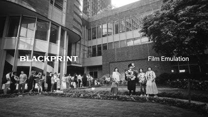 BlackPrint Film Emulation LUTs (COLOR SCIENCE 3.5)