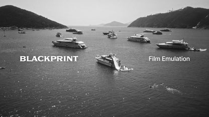 BlackPrint Film Emulation LUTs (COLOR SCIENCE 3.5)