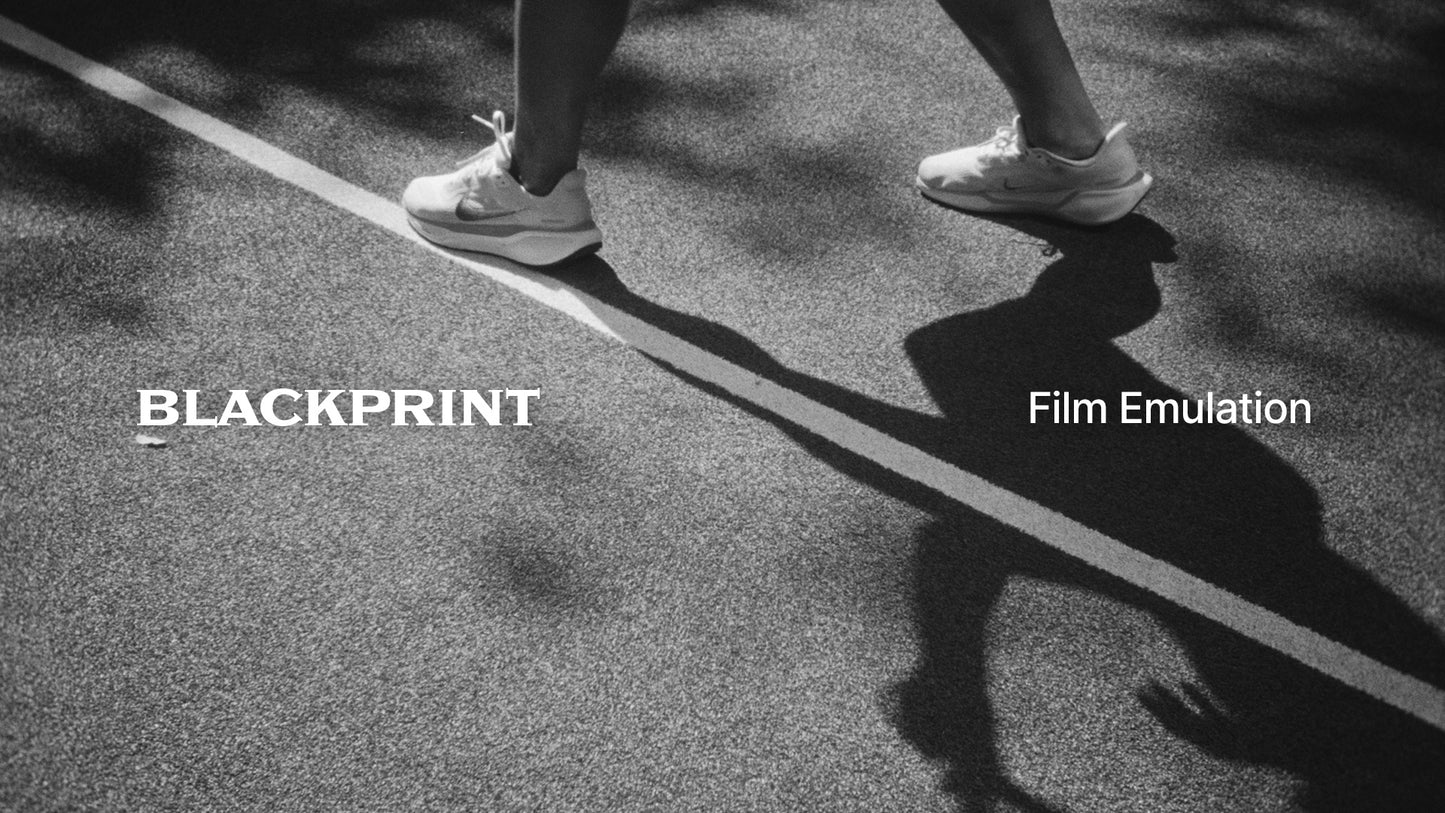 BlackPrint Film Emulation LUTs (COLOR SCIENCE 3.5)