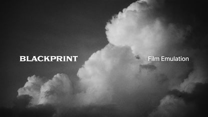 BlackPrint Film Emulation LUTs (COLOR SCIENCE 3.5)