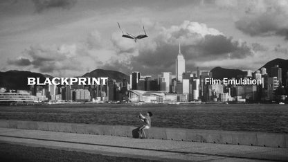 BlackPrint Film Emulation LUTs (COLOR SCIENCE 3.5)