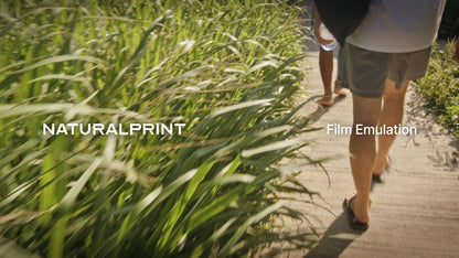 NaturalPrint Film Emulation LUTs (COLOR SCIENCE 3.5)